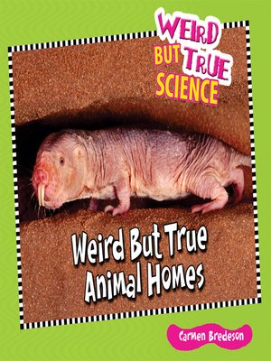 Weird But True Animal Homes - ebook